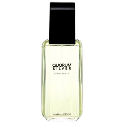 Antonio Puig Quorum Silver edt 100ml