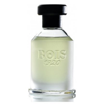 Bois 1920 Magia Youth edt 100ml