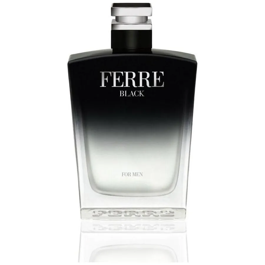 Gianfranco Ferré Black For Men edt 100ml