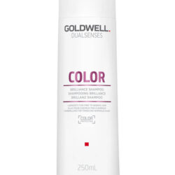 Goldwell Dualsenses Color Brilliance Shampoo (250ml)
