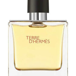 Hermes Terre D'Hermes Pure Parfum EDP 75 ml