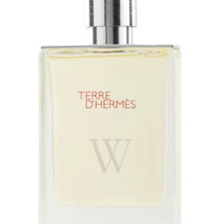 Hermès Terre d'Hermès Eau Givrée Refillable Spray EDP 100 ml
