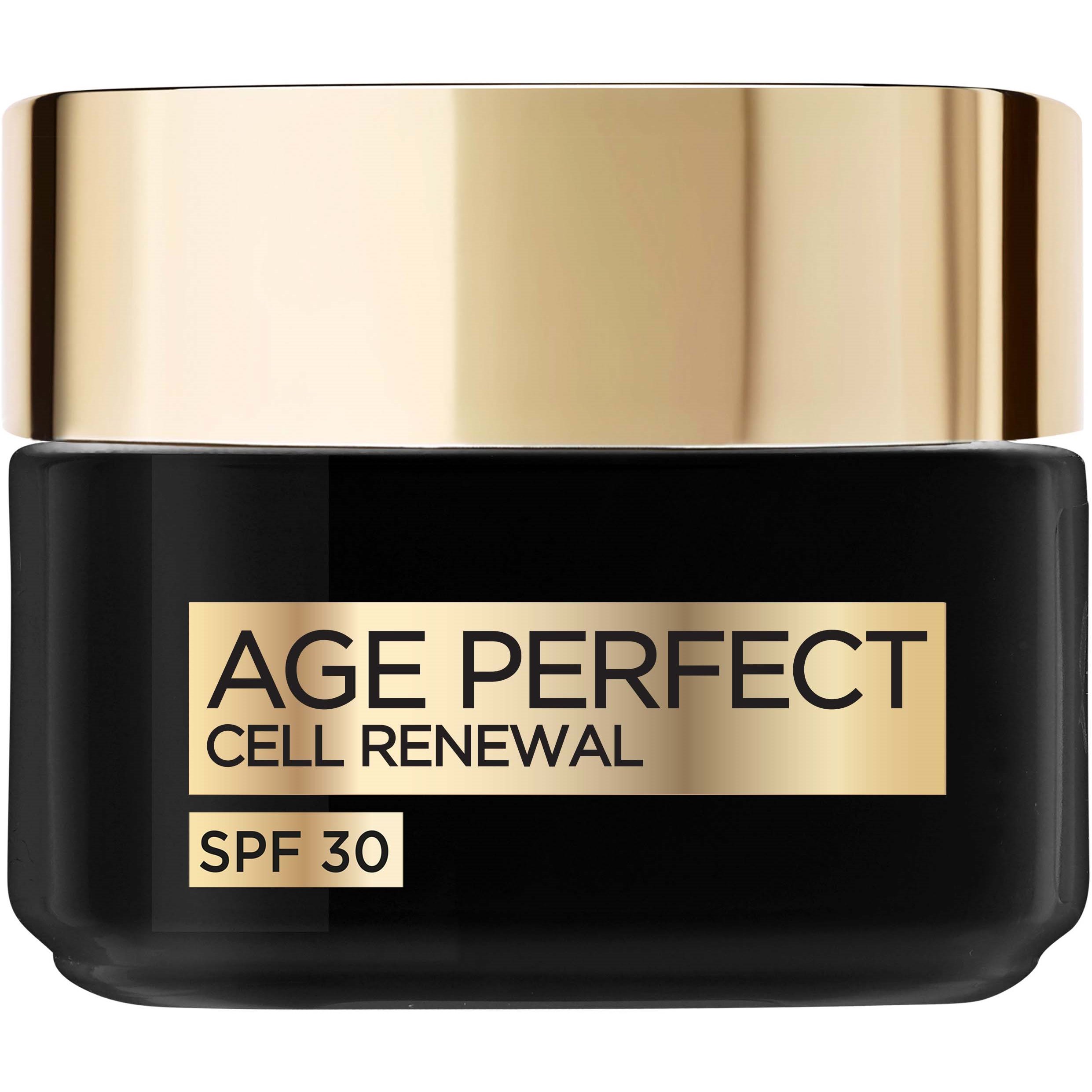 Loreal Paris Age Perfect Cell Renewal Day Cream SPF 30 50 ml
